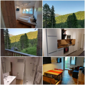 Apartment Bella Turracherhöhe